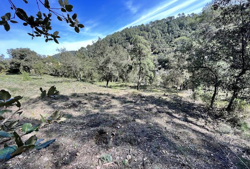  Vente Terrain à bâtir - 2 500m² à Vidauban (83550) 