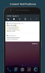Winning King Betting Tips Screenshot