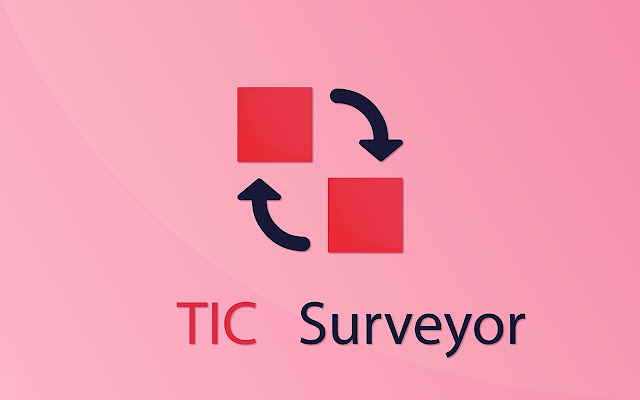 Tic Surveyor Web extension