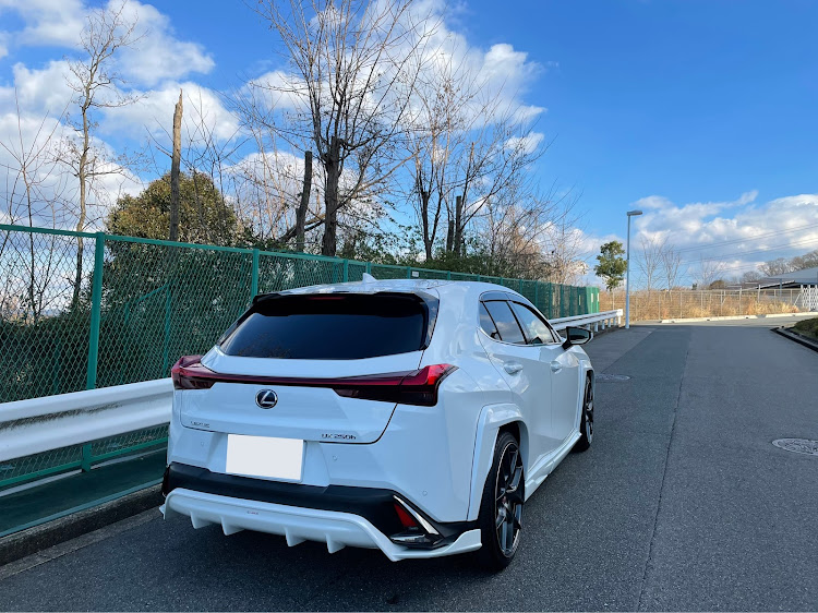 UXの目指せPickUpCars・新年のご挨拶・初日の出・まいどに関するカスタム事例の投稿画像3枚目
