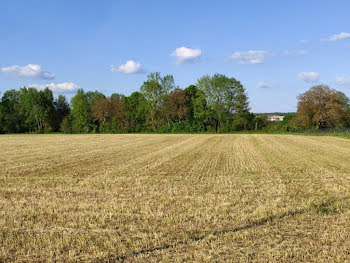 terrain à Lesigny (86)