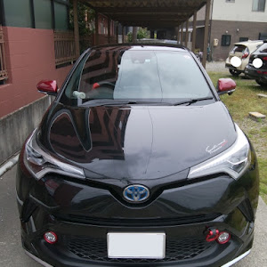 C-HR ZYX10