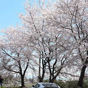 フェアレディZ Z34型