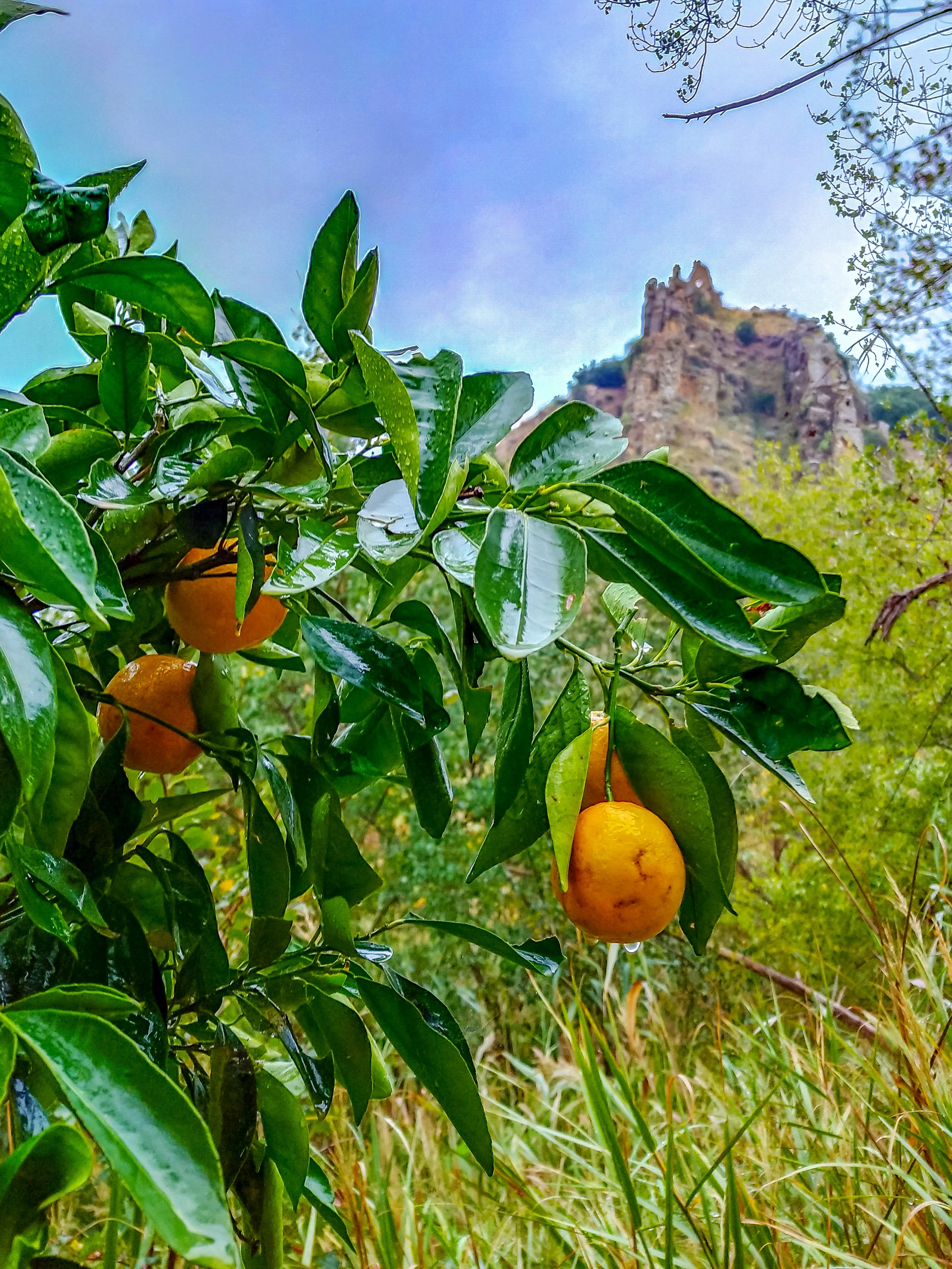 Rudere di un castello 🏰 di utente cancellato