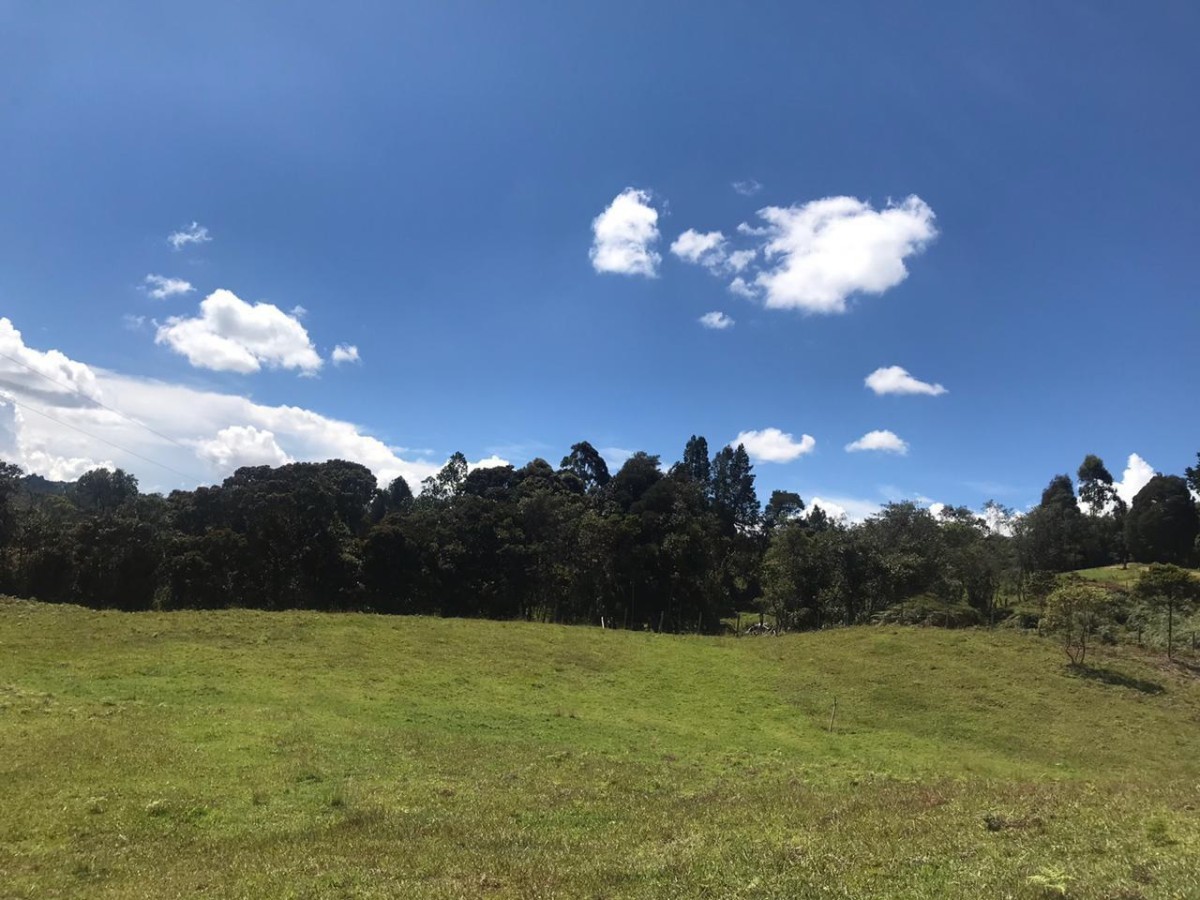 Lotes para Venta en Vereda pantanillo