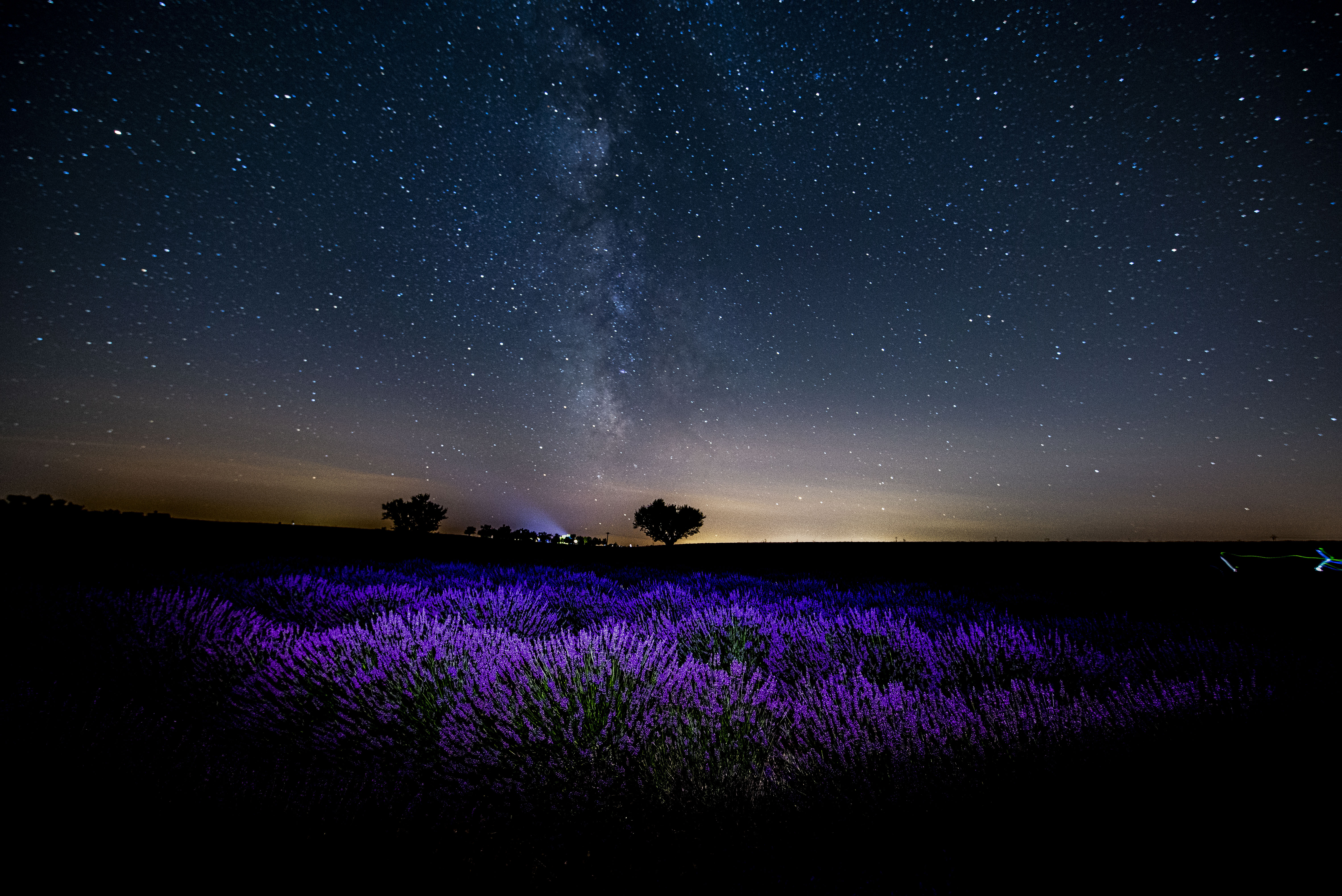 Via Lattea alla lavanda! di Scaccia