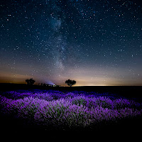 Via Lattea alla lavanda! di 