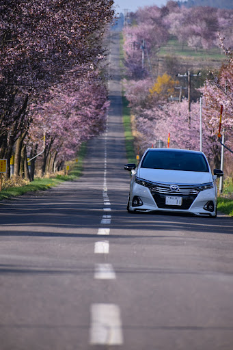 Sai Azk10のdiscover Ct Cartunefriends 桜六花公園 絶賛出張中 サクラ と愛車に関するカスタム メンテナンスの投稿画像 車のカスタム情報はcartune