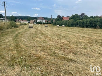 terrain à Provenchères-et-Colroy (88)