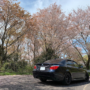 530i Mスポーツ