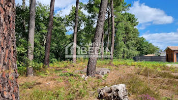 terrain à Martignas-sur-Jalle (33)