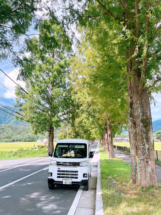 しのくんさんが投稿した福井県立恐竜博物館・メタセコイア並木・奥さんの車に関するカスタム事例の投稿画像3枚目