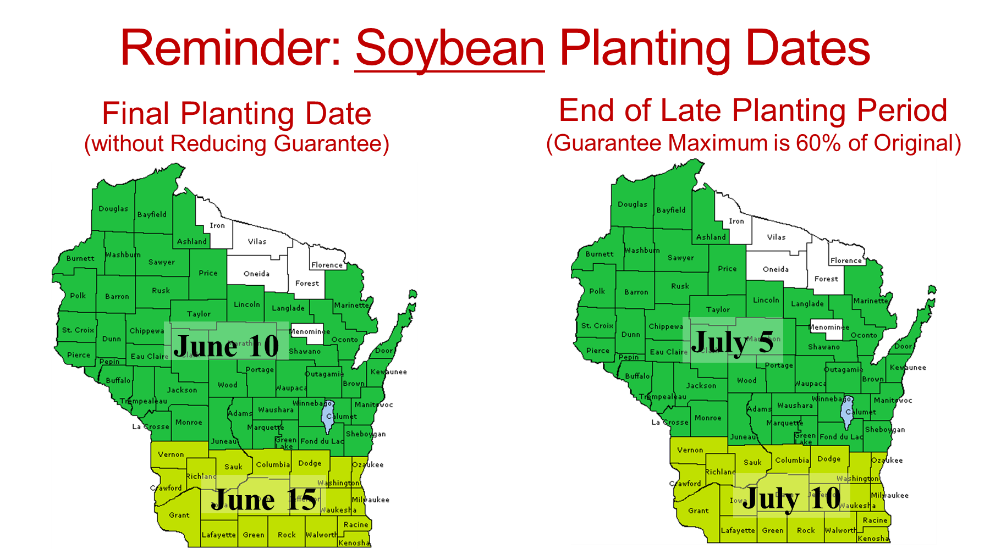 Crops Analysis, September 25, 2023