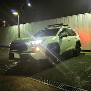 RAV4 MXAA54