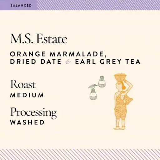 M.S. Estate