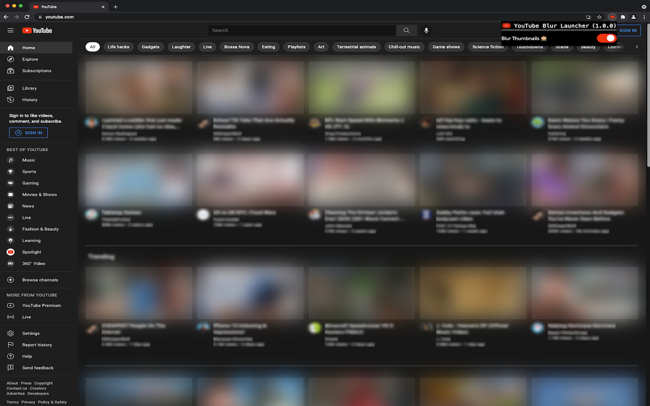 YouTube Blur Preview image 0