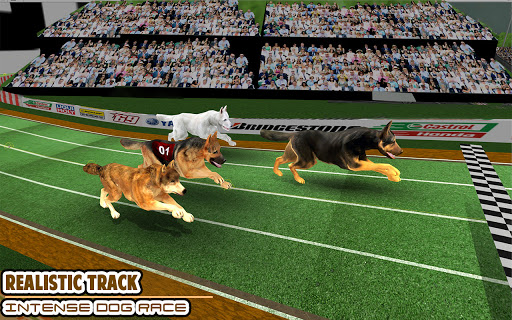 Screenshot Dog Racing game - dog games