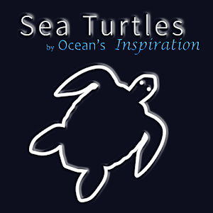 Sea Turtles, by Reef Life