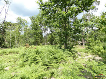 terrain à Marsac-sur-l'Isle (24)