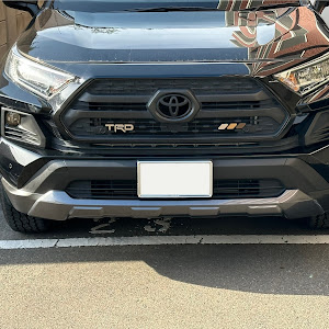 RAV4 MXAA54