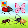 Insects Cards (Learn Languages) icon