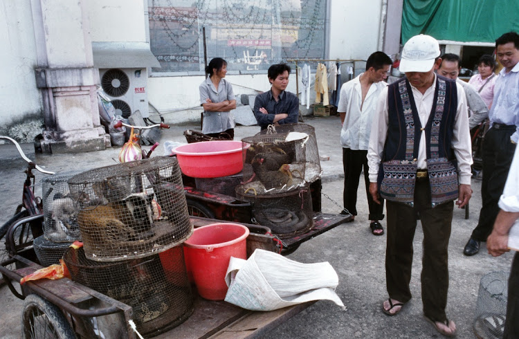 Badgers, rare birds, pangolins and monkeys are sold at a wildlife market in Mongla, on the border of China and Myanmar, Picture: BEN DAVIES/LIGHTROCKET/GETTY IMAGES