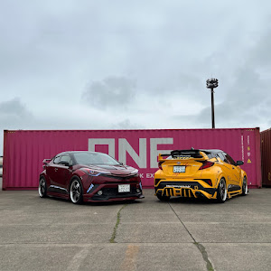C-HR NGX10