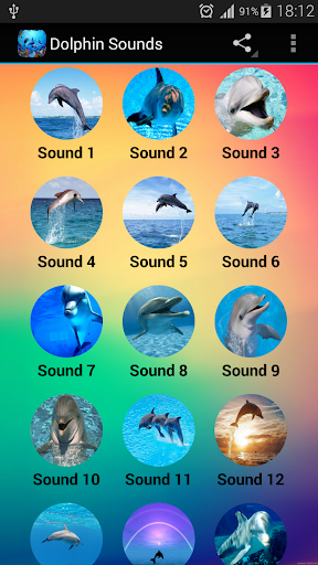 Dolphin Sounds