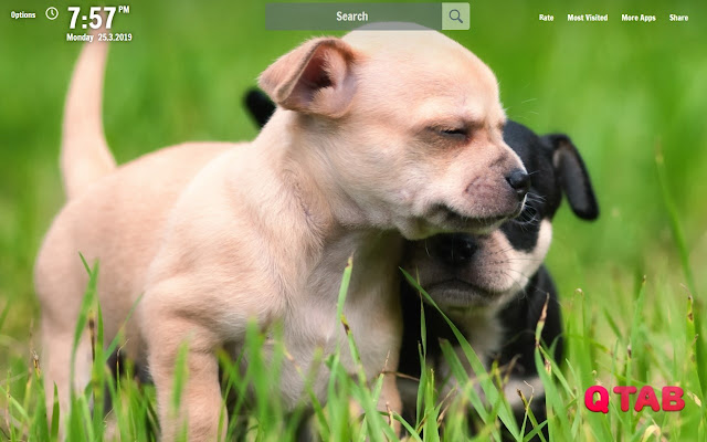 Puppy New Tab Puppy Wallpapers