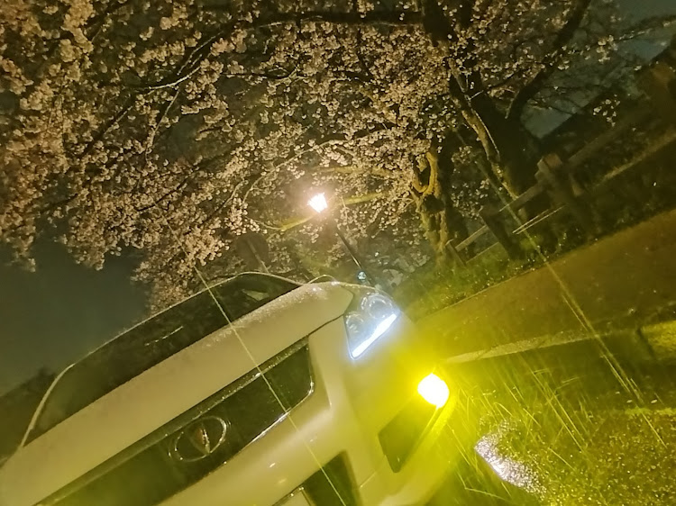 ブレイドの桜とコラボ・サクラと愛車・富山県・4月もよろしくお願い致します🌸・桜コラボに関するカスタム事例の投稿画像3枚目