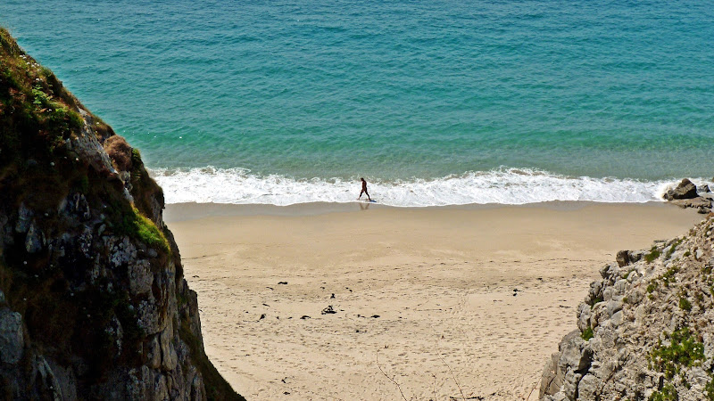 il naturista di MaxFelice