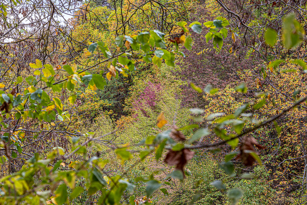 Appenino di Fabrizio Lorenzetti