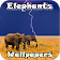 Elephants Wallpapers and Backgrounds HD 4K  icon