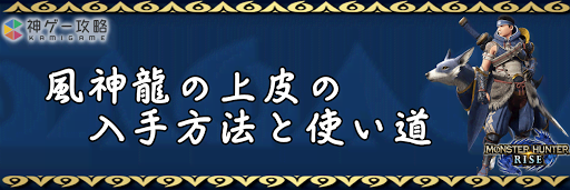 風神龍の上皮