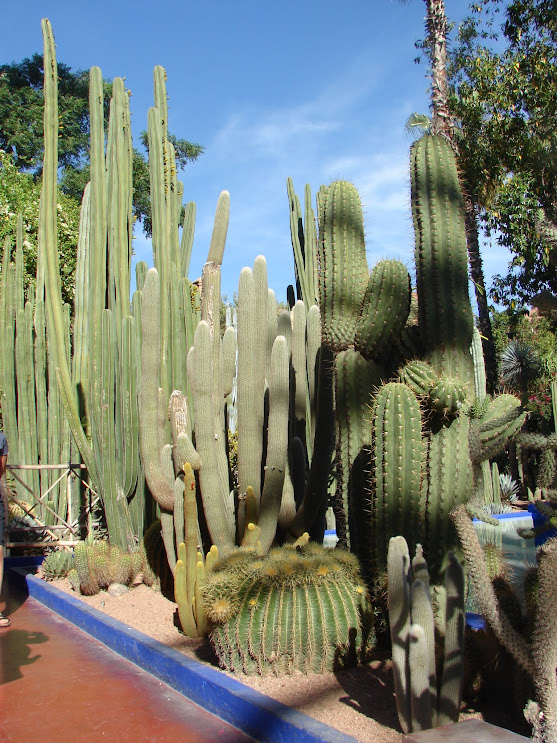 Marrakech