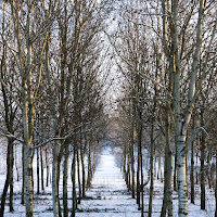 verso l'inverno di 