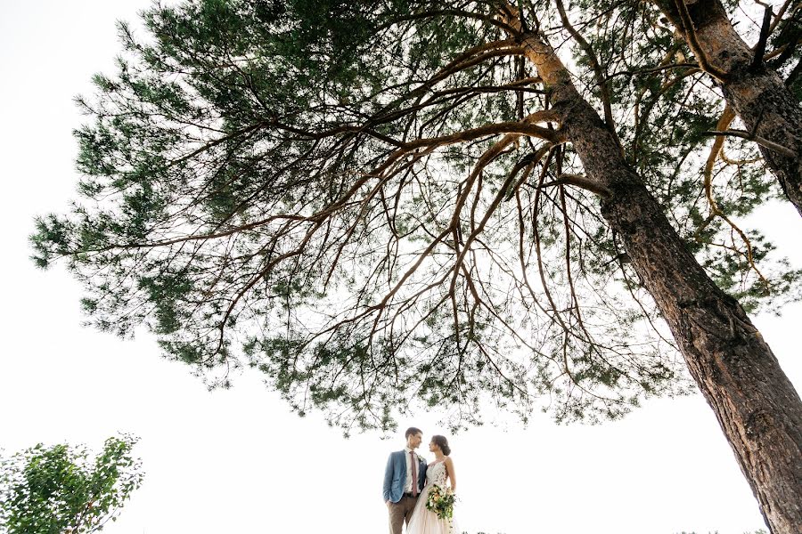 Fotografo di matrimoni Denis Kalinkin (deniskalinkin). Foto del 26 luglio 2017