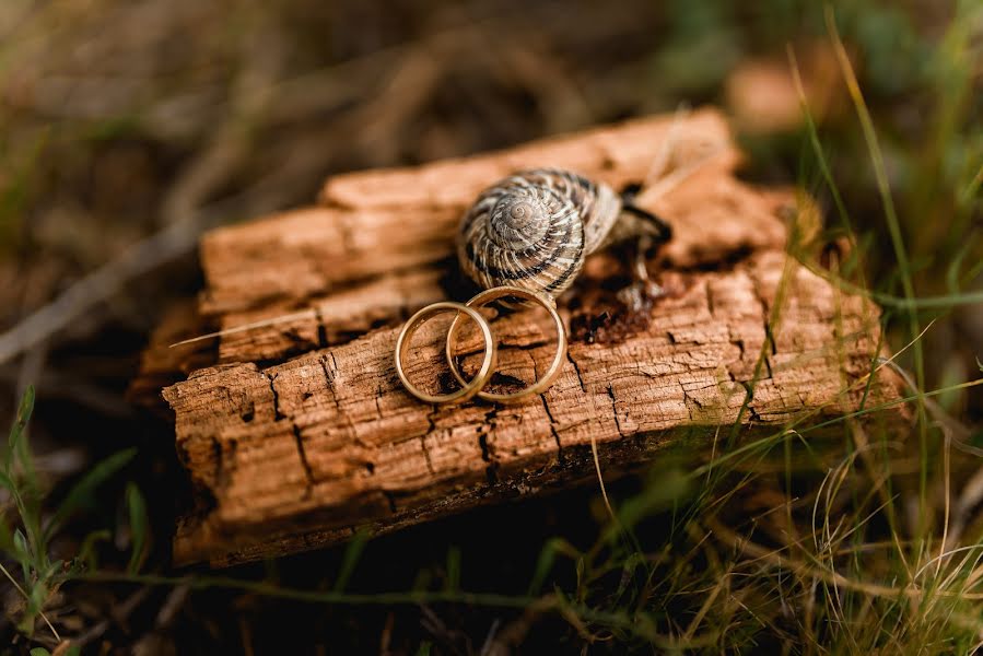 Fotografo di matrimoni Paola Gutiérrez (alexypao). Foto del 23 dicembre 2020