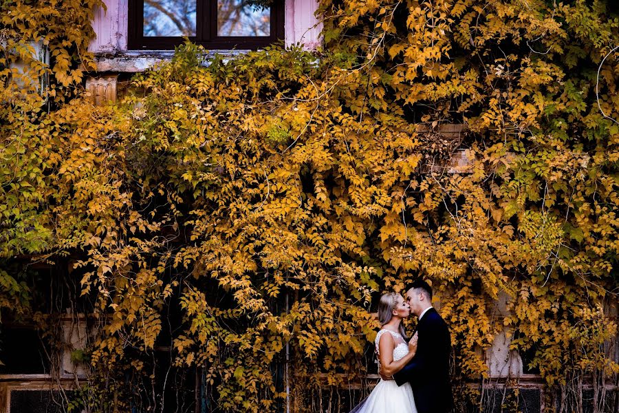 Fotografo di matrimoni Tata Bamby (tatabamby). Foto del 21 novembre 2018