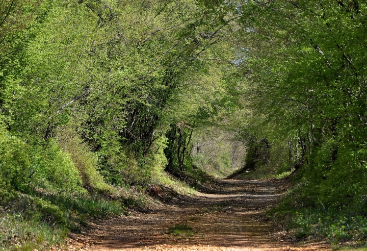 In natura di maurizio