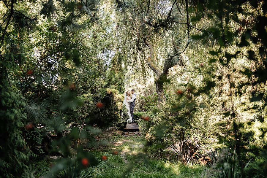 Wedding photographer Olga Lebedeva (fotolebedeva). Photo of 16 March 2020