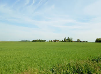 terrain à La Selle-sur-le-Bied (45)