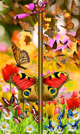 Butterfly Zipper Lock Screen