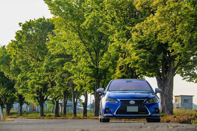 CTの新緑と愛車・カーブ並木・並木コラボ・まさかの発見！😆・discover＿ctに関するカスタム事例の投稿画像1枚目
