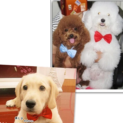 40cm Adjustable Dog Cat Bow Tie Puppy Pets Neck Tie Pet Supplies Kitten Cat Dog Collar Strap Cat Dog Grooming Accessorie