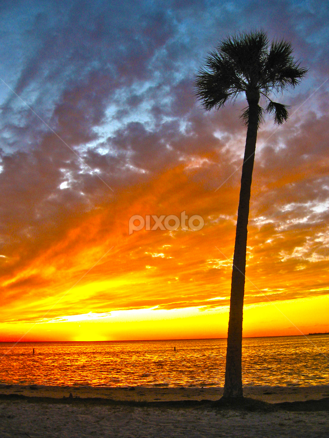 Florida Nude Beach Cam - Sunset Beach Florida | Sunsets & Sunrises | Landscapes | Pixoto