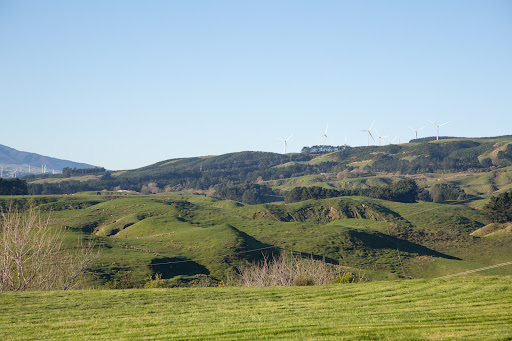 Terrain 5