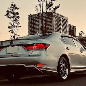 LS UVF46