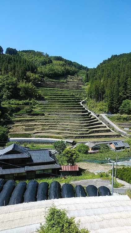 の投稿画像19枚目