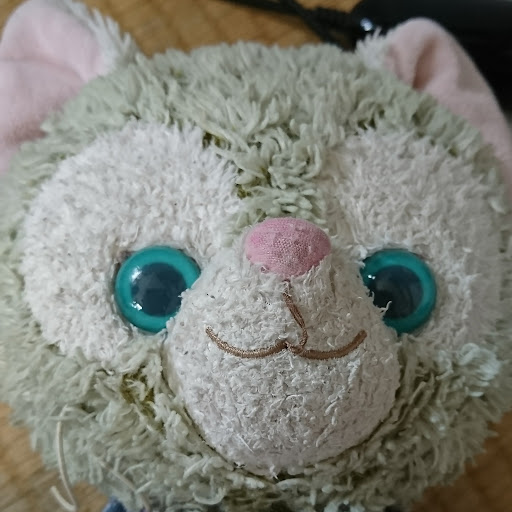 ジェラトーニ